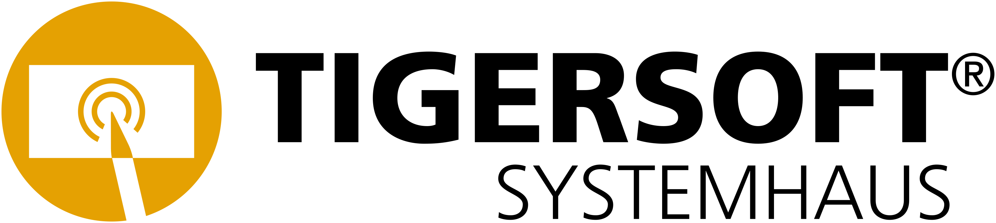 TIGERSOFT Systemhaus